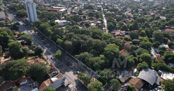 La Nación / Vecinos en defensa del bosquecito de San Vicente, último pulmón verde de un barrio histórico