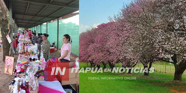 LA FIESTA DEL CEREZO EMBELLECE LA PAZ CON UN DESPLIEGUE DE COLORES Y CULTURA - Itapúa Noticias