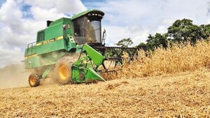 Rechazo firme al anteproyecto de ley que criminaliza el uso de semillas propias