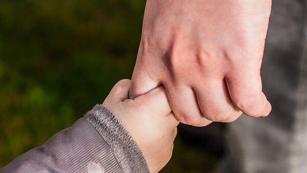 Paternidad en Paraguay: ¿Cuántos padres hay, cuáles son sus estados y en qué trabajan?
