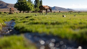 La tierra de los 800 volcanes, un boom turístico en Argentina