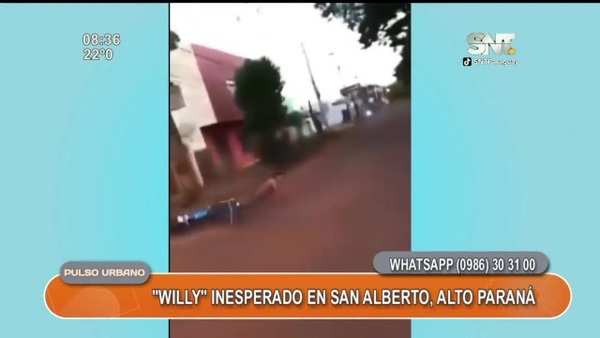 Hombre sufrió caída en moto luego de hacer un "Willy" - SNT