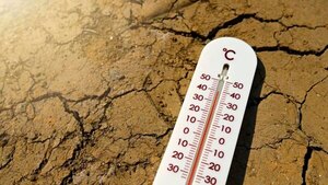 Altas temperaturas en el hemisferio norte: Cómo identificar cuando el calor es peligroso para la salud