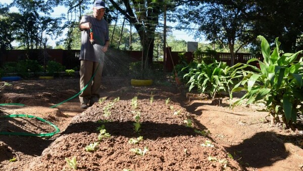 La huerta como terapia para mejorar la condición de vida de los adultos mayores