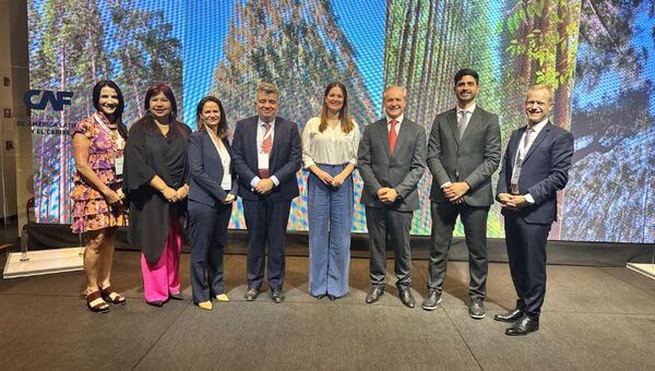 Verde es el fondo: CAF invierte US$ 15 millones en plataforma de inversión forestal sustentable