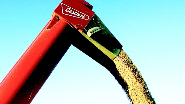 Productores rechazan proyecto de ley de semillas que prepara Senave