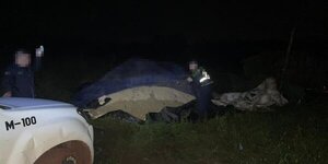 Roban cerca de 18.000 kilos de balanceado a una agroganadera