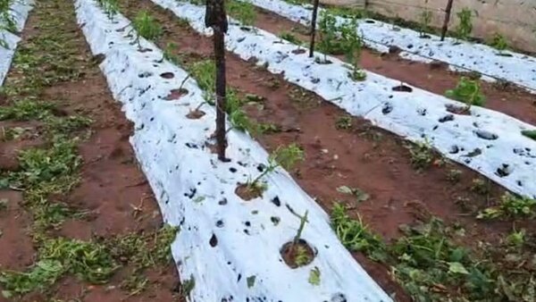 Fuerte temporal ocasionó daños en Misiones