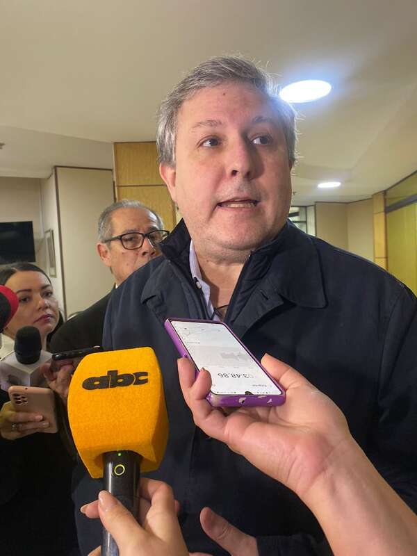 Senador Filizzola: Kattya tiene derecho a ir ante el pleno y sentarse en su banca si Corte resuelve inconstitucionalidad - Política - ABC Color