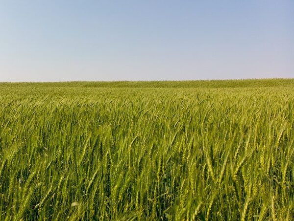 “En este momento es buena la lluvia que venga” para el campo, dice MAG · Radio Monumental 1080 AM