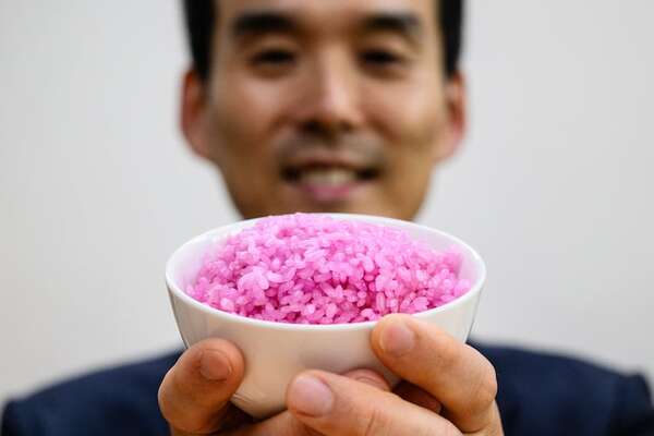 “Arroz carnoso” con alto contenido de proteínas creado en Corea del Sur - Ciencia - ABC Color