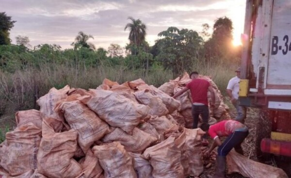 Agricultores reciben ayuda para transportar mandioca