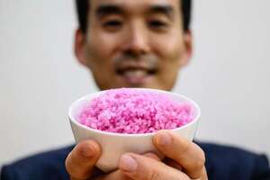 Cómo es el “arroz carnoso” que desarrolla Corea del Sur - Ciencia - ABC Color