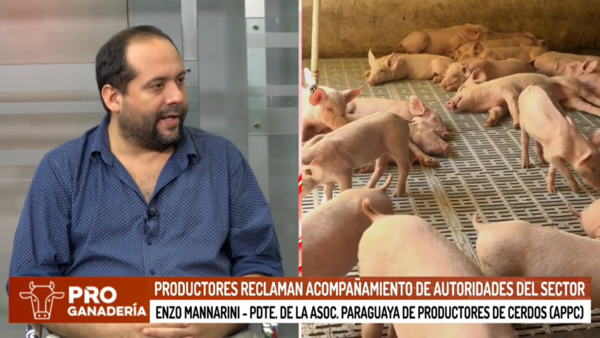 Productores reclaman más acompañamiento de autoridades - Megacadena - Diario Digital