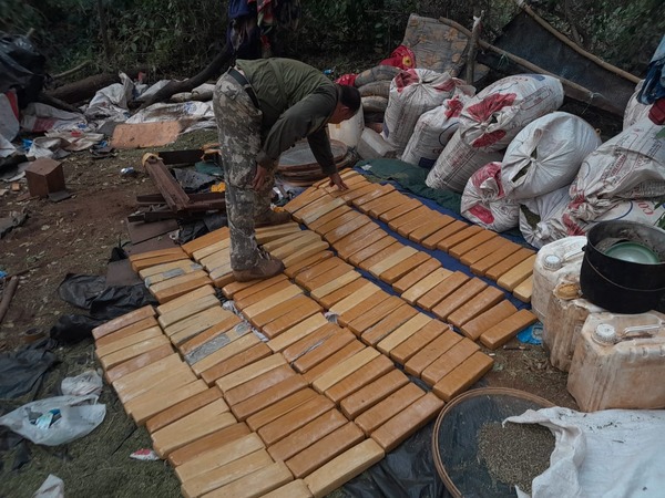 Senad elimina 88 toneladas de marihuana en Amambay - ADN Digital