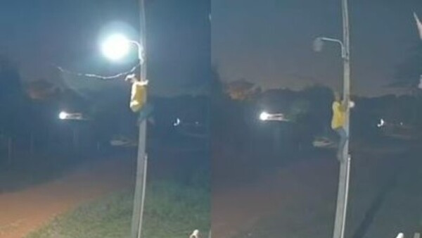 Trepó columna para robar foco de un alumbrado público