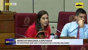 Venció plazo: Nenecho ningunea a diputados  - ABC Noticias - ABC Color