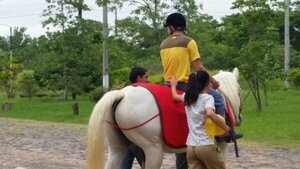 Fundación Equinoterapia exige a Economía pago de honorarios profesionales - Portal Digital Cáritas Universidad Católica