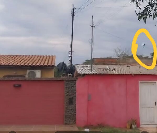 Mujer mantiene en zozobra a vecindario en el barrio San Carlos de Concepción