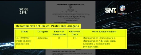 Profesionales ganarían menos que los "Nepobabies" - SNT