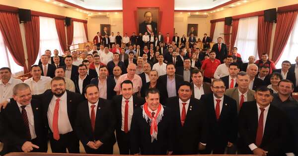 La Nación / Dirigentes de Itapúa piden apoyo al partido para recuperar intendencias