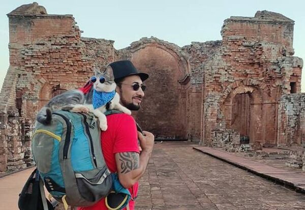 El gato negro y el gato mochilero