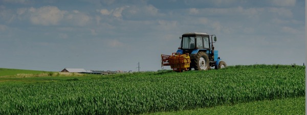 Disminución en la superficie cultivada de soja y desafíos climáticos marcaron la campaña agrícola 2023/2024 en Paraguay - MarketData