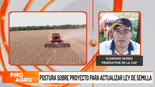 Proyecto de ley de semillas impulsado por SENAVE sería un atropello al productor, afirman - Megacadena - Diario Digital
