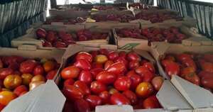 La Nación / Desde hoy cortan los permisos para la importación de tomates