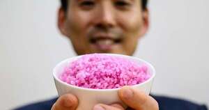 La Nación / Crearon un “arroz carnoso” en Corea