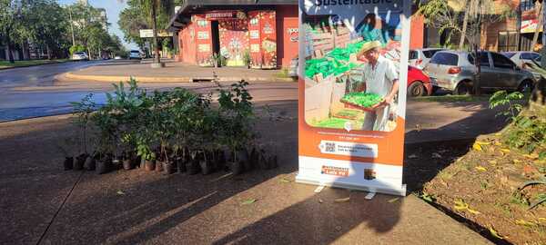 Día internacional del árbol: Municipio entrega arbolitos de diversas especies