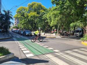 Guía práctica: ¿cómo elegir y cuidar árboles en la ciudad? - Especiales - ABC Color
