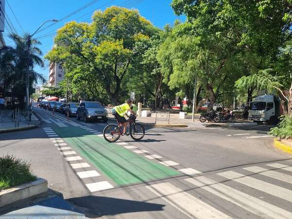 Guía práctica: ¿cómo elegir y cuidar árboles en la ciudad? - Especiales - ABC Color