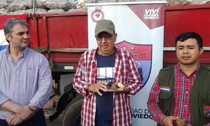 Exitosa cosecha de papa genera más inversión municipal en semillas - OviedoPress