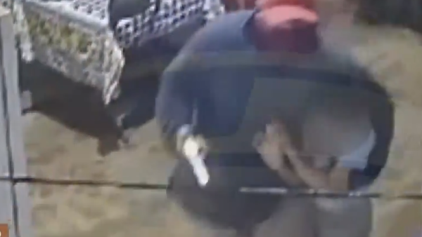 Video: Niño de 8 años es apuntado con un arma durante violento asalto en J. Augusto Saldívar