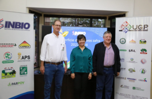 Zafra 2023-2024: Superficie de cultivo de soja se redujo en 5%, sin embargo, se llegó a las 10 millones de toneladas de producción