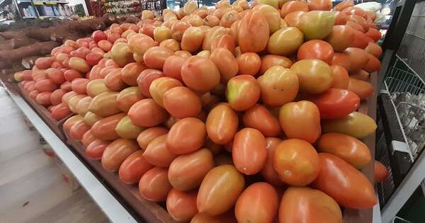 Diario HOY | Suspenden el permiso para importar tomate ante superproducción nacional