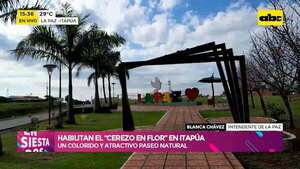 Habilitan el “Cerezo en Flor” en Itapúa: un colorido y atractivo paseo natural - Ensiestados - ABC Color