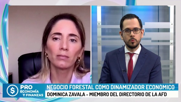 Negocio Forestal como dinamizador económico - Megacadena - Diario Digital