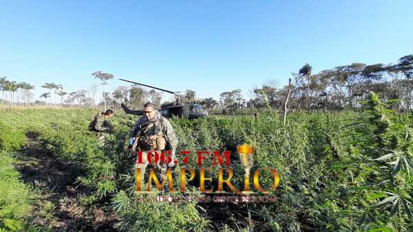 Paraguay y Brasil inician tercera operación conjunta del año contra el narcotráfico