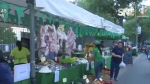Feria de la Agricultura familiar edición de San Juan - SNT