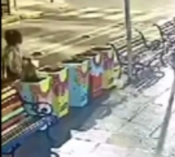 Denuncian a doña que roba flores de plantera de un local comercial