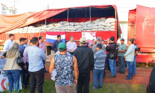 Inicia siembra de papa en Coronel Oviedo – Prensa 5
