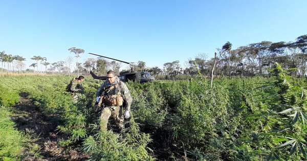 Diario HOY | Paraguay y Brasil realizan operación conjunta contra el narcotráfico