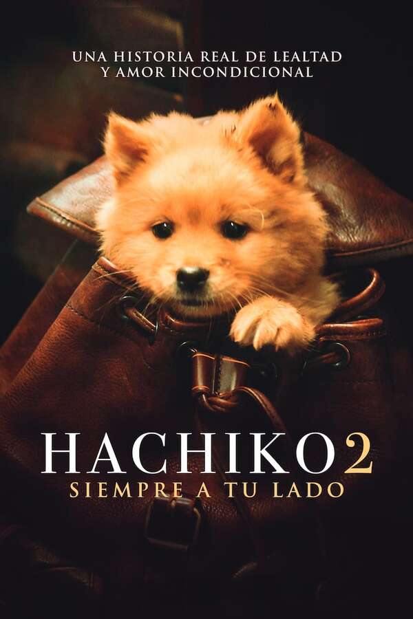 Hachiko 2 - Cine y TV - ABC Color