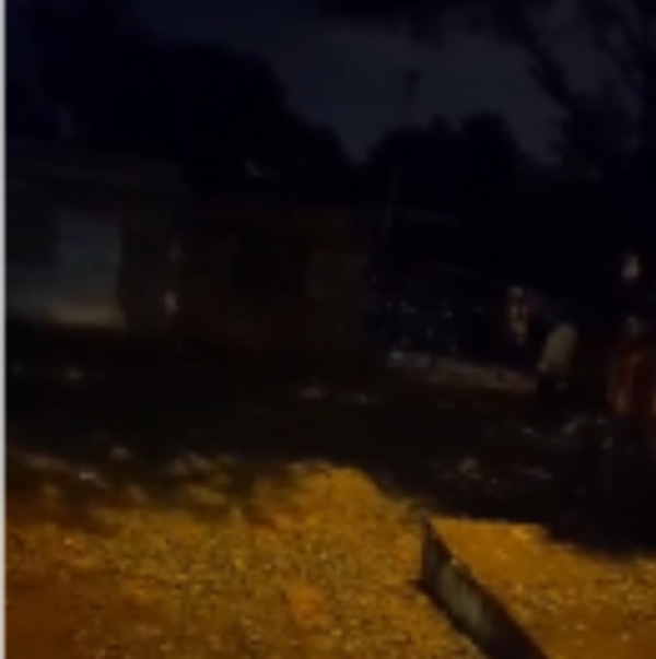 (VIDEO)Mujer aterroriza con armas a sus dos hijos