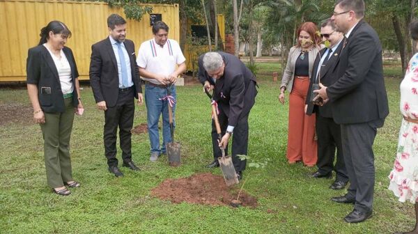 "Cordillera Arboriza": plantaron árboles nativos en sedes judiciales de Altos y San Bernardino