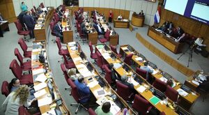 Impulsan el control de las Organizaciones No Gubernamentales mediante un proyecto de ley
