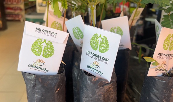 Empresa concepcionera entrega 3.000 plantines por el día del árbol