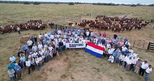 La Nación / Exitosa salida de campo braford en el Chaco duplicó expectativa